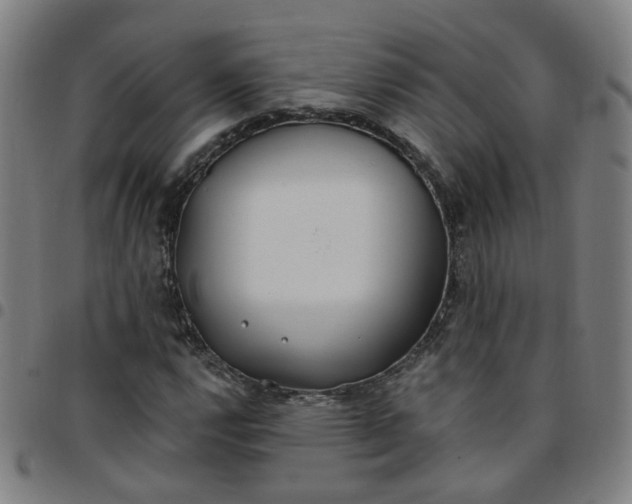 X0000097471112200803071647