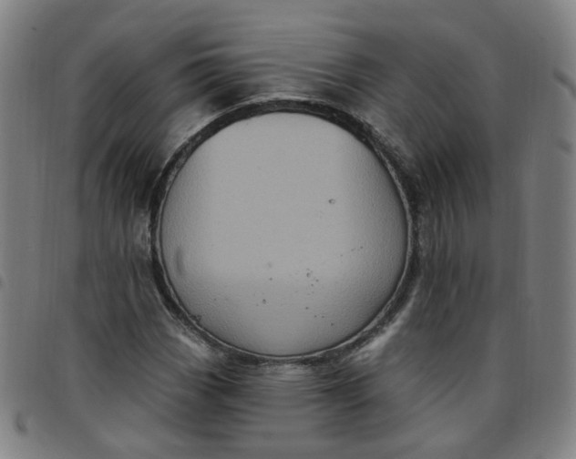 X0000097471113200803071647