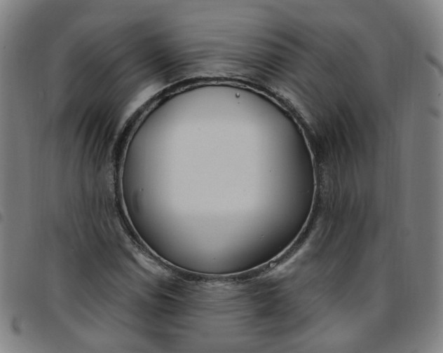 X0000097471114200803071647