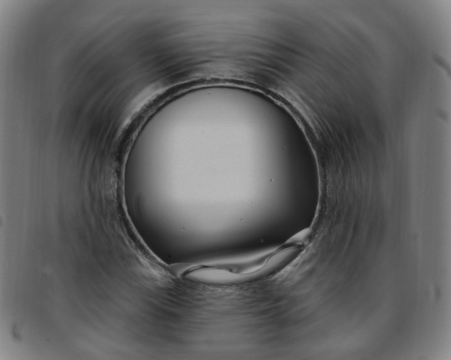 X0000097471115200803071647
