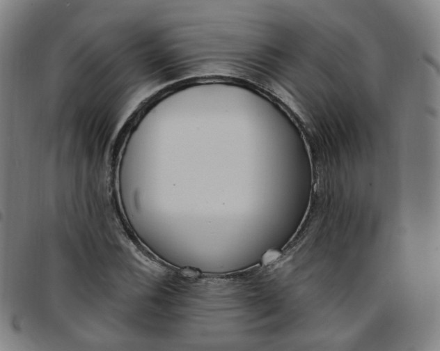 X0000097471116200803071647