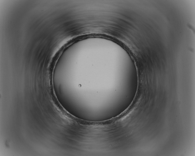 X0000097471118200803071647
