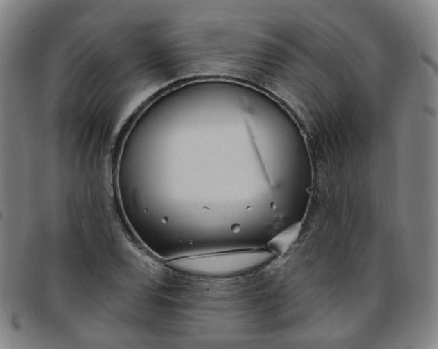 X0000097471120200803071647