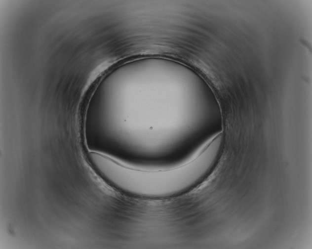 X0000097471122200803071647
