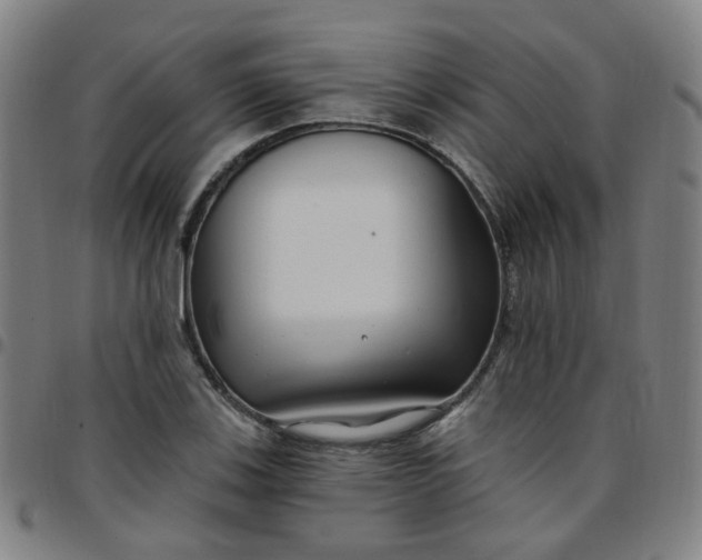 X0000097471123200803071647