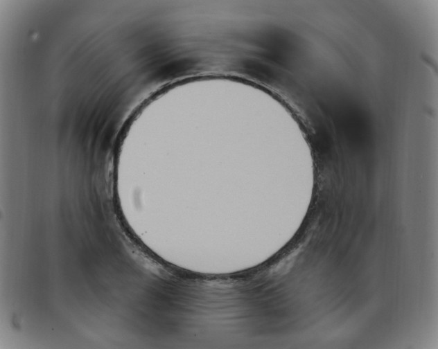 X0000097471126200803071647