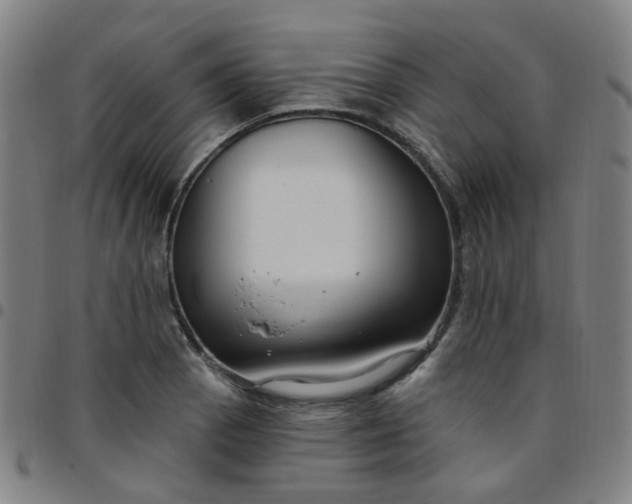 X0000097471129200803071647