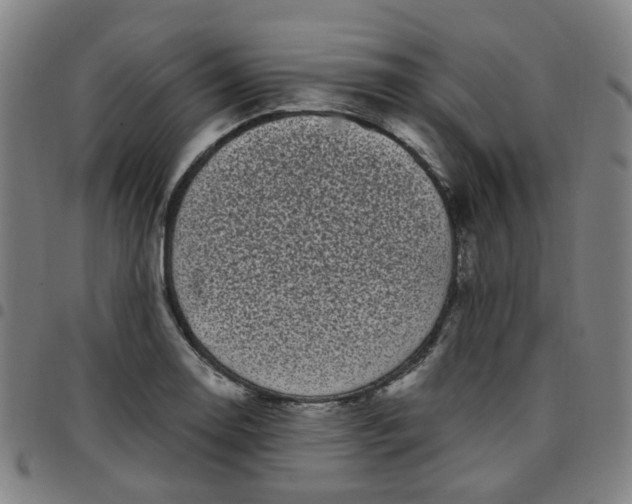 X0000097471130200803071647