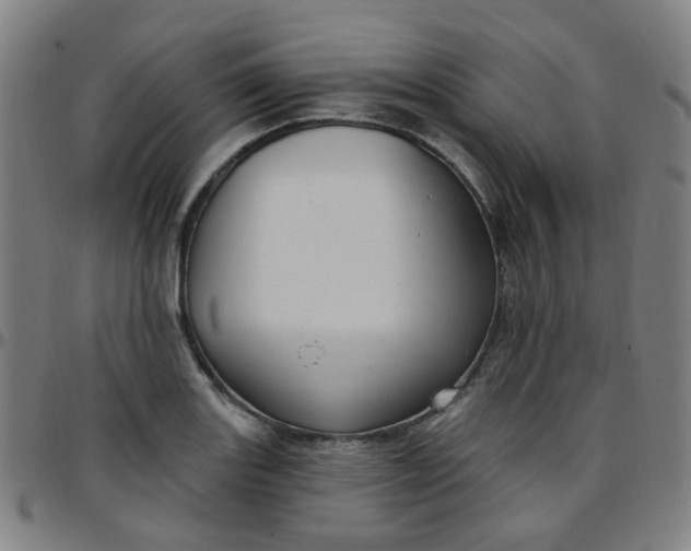 X0000097471131200803071647