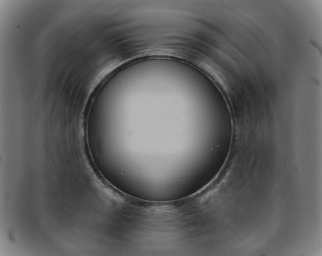X0000097471133200803071648