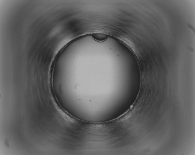 X0000097471135200803071648