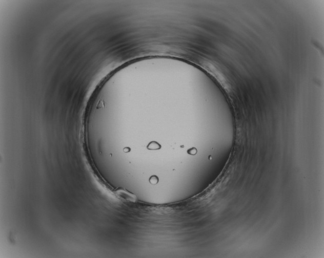 X0000097471136200803071648