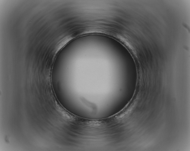 X0000097471137200803071648