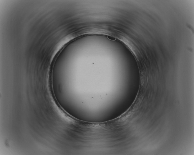 X0000097471139200803071648