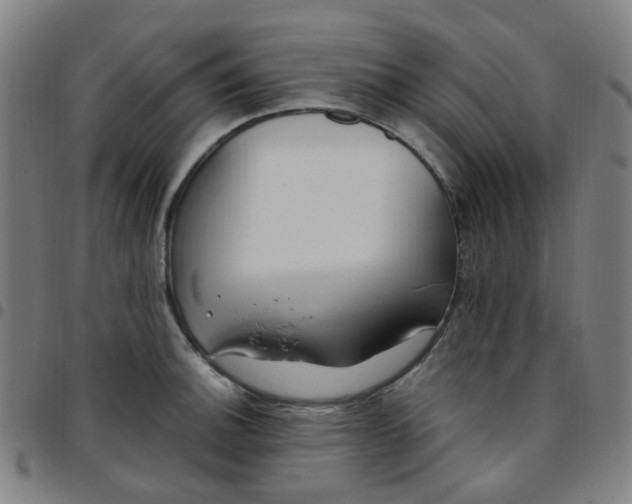 X0000097471140200803071648