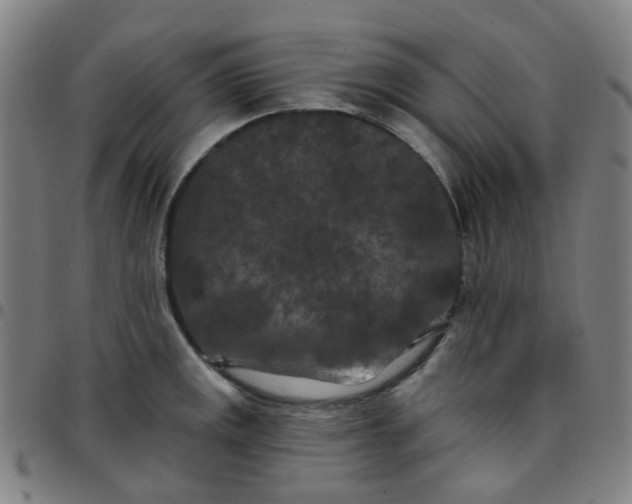 X0000097471141200803071648