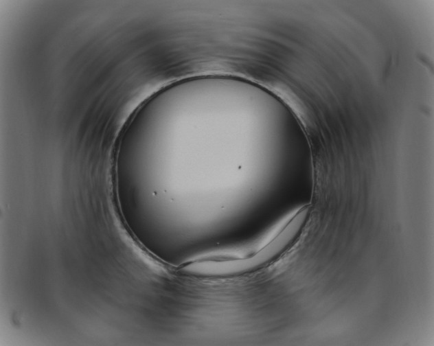 X0000097471142200803071648