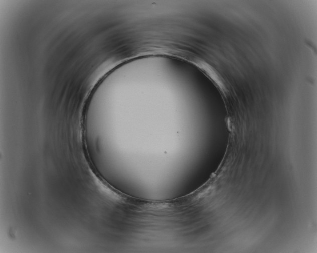 X0000097471143200803071648