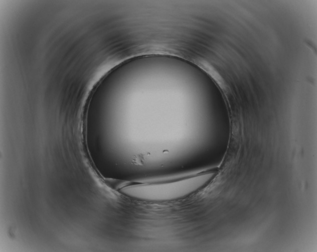 X0000097471144200803071648