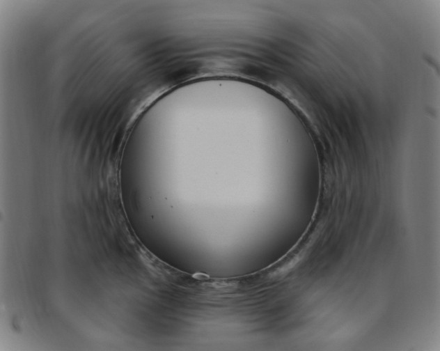 X0000097471145200803071648