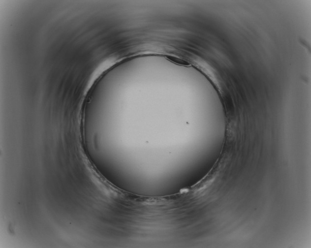 X0000097471146200803071648