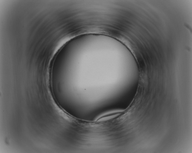 X0000097471147200803071648