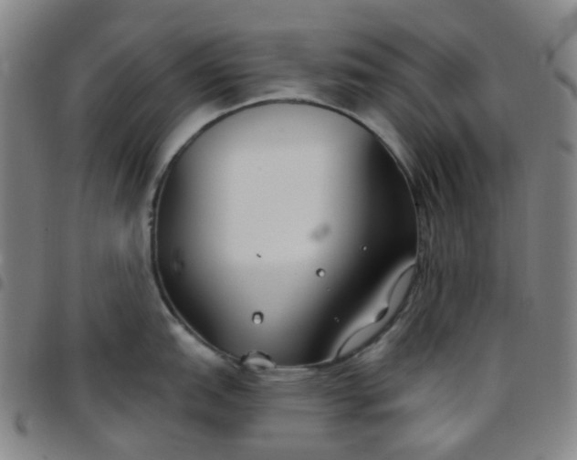 X0000097471151200803071648