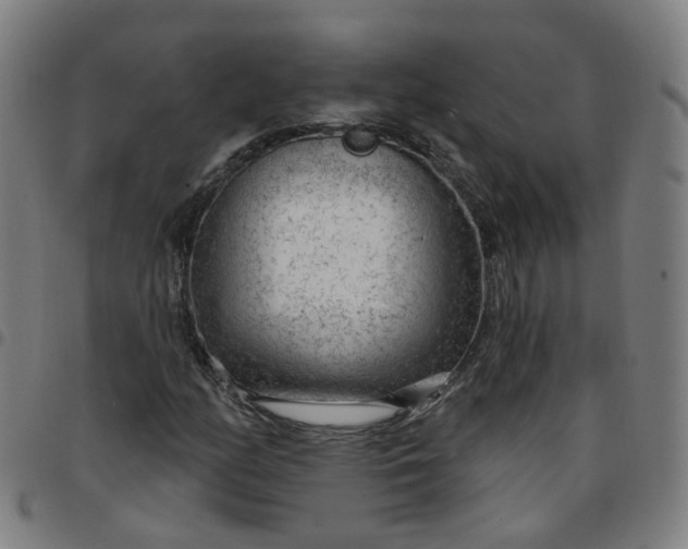 X0000097471158200803071647