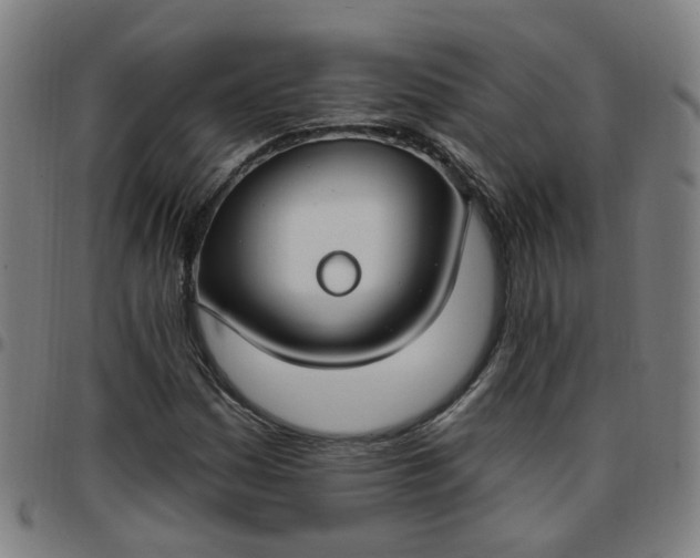 X0000097471161200803071647