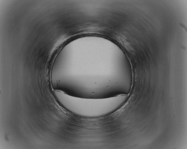 X0000097471164200803071647