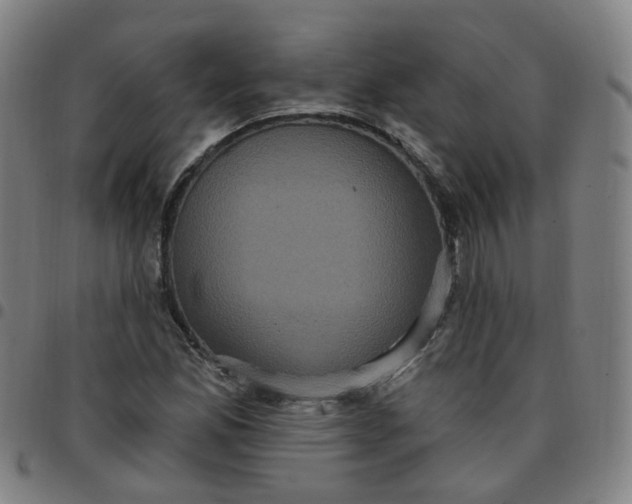 X0000097471165200803071647