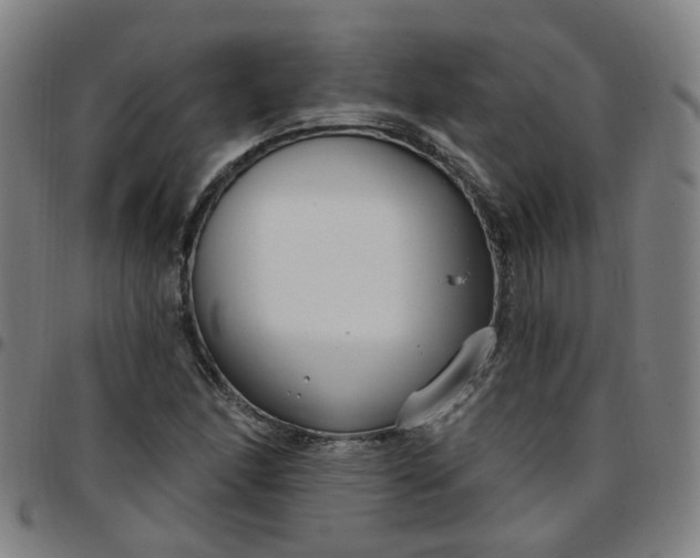 X0000097471166200803071647