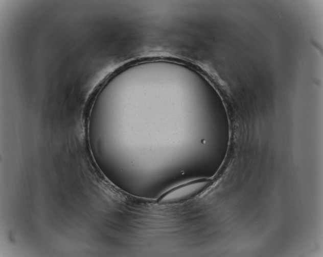 X0000097471167200803071647