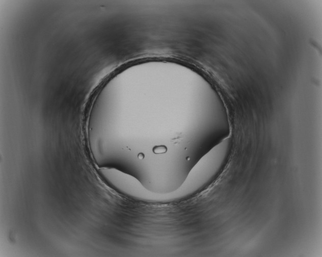 X0000097471168200803071647