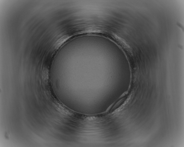 X0000097471169200803071647