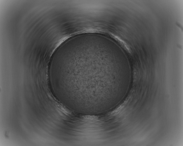 X0000097471170200803071647