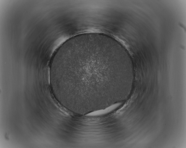 X0000097471171200803071647