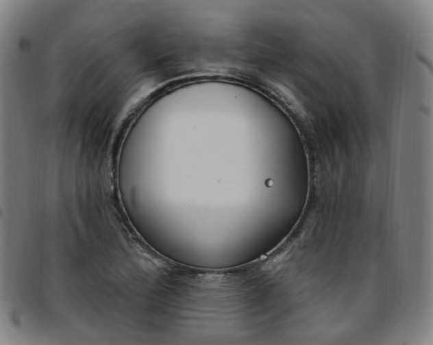 X0000097471172200803071647