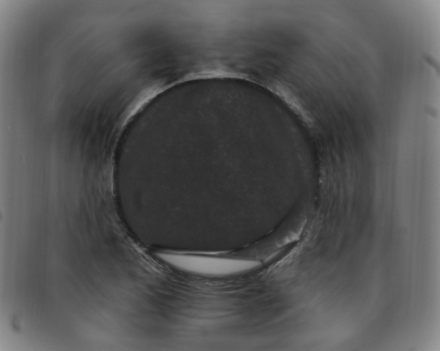 X0000097471173200803071647