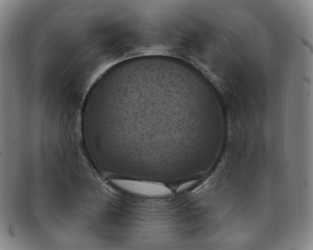 X0000097471174200803071647