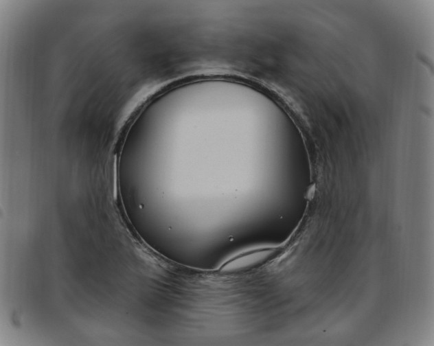 X0000097471175200803071647