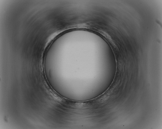 X0000097471176200803071647