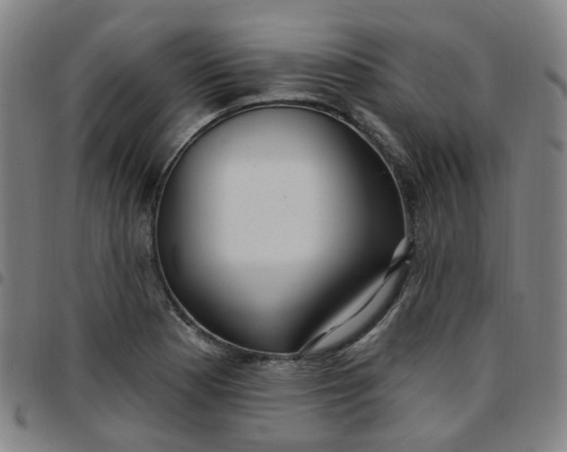 X0000097471177200803071647