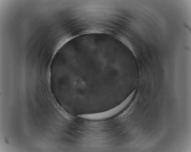 X0000097471179200803071647
