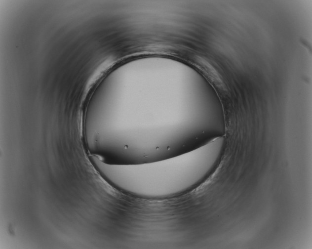 X0000097471180200803071647