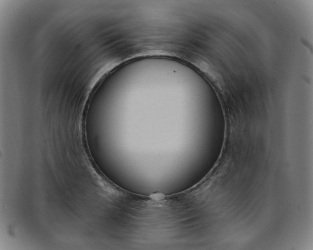 X0000097471181200803071647