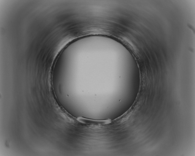 X0000097471182200803071647