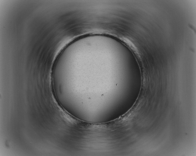 X0000097471183200803071647