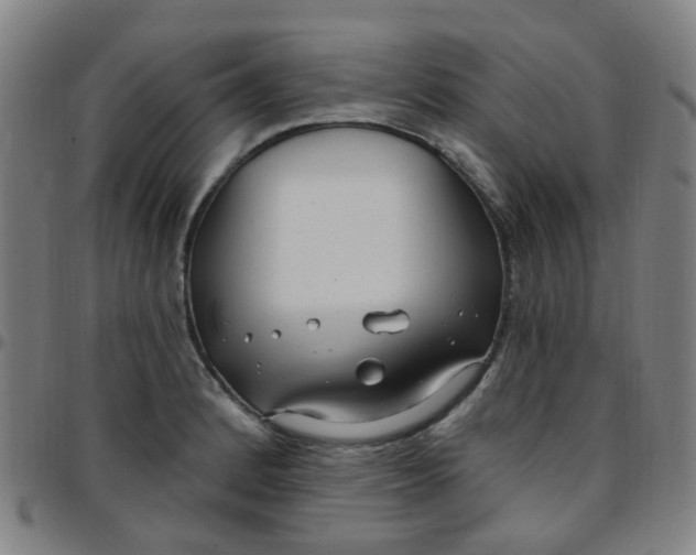 X0000097471184200803071647