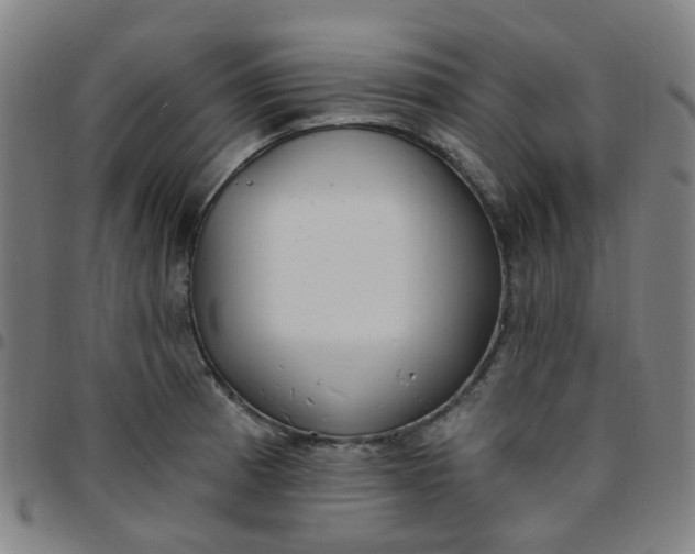 X0000097471185200803071647